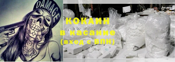 прущие грибы Абдулино