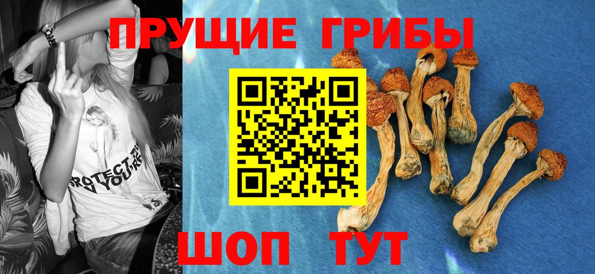 Галлюциногенные грибы Cubensis  Вход с VPN  купить наркоту  Кемерово 